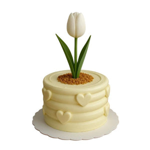 Tulip Flower Pot Cake