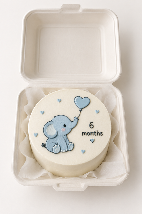 Baby Elephant Half Birthday Bento Cake