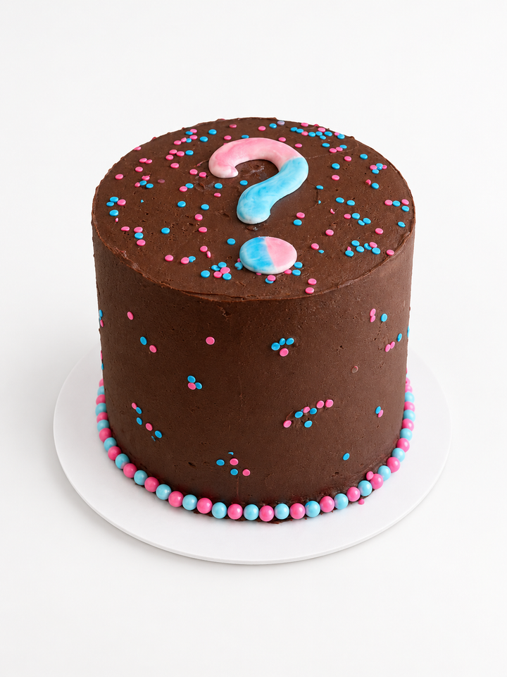 Chocolate Gender-Reveal Cake with Pastel Sprinkles
