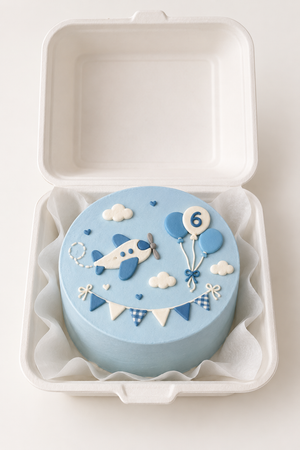 Sky High Aeroplane Bunting Bento Cake