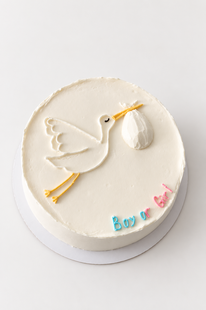 Stork Boy or Girl Gender Reveal Cake